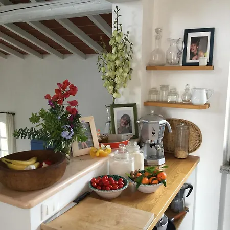 Le Ginestre Di Mare Villa Casa Ajali