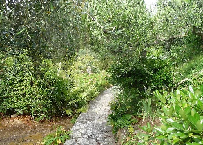Le Ginestre Di Mare Villa Capoliveri (Isola d'Elba)